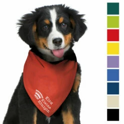 Besticktes Halstuch Kleine Königin + Krone + Name