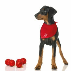 Besticktes Weihnachts-Halstuch Rentier + Name