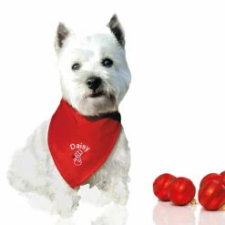 Besticktes Weihnachts-Halstuch Schneemann + Name