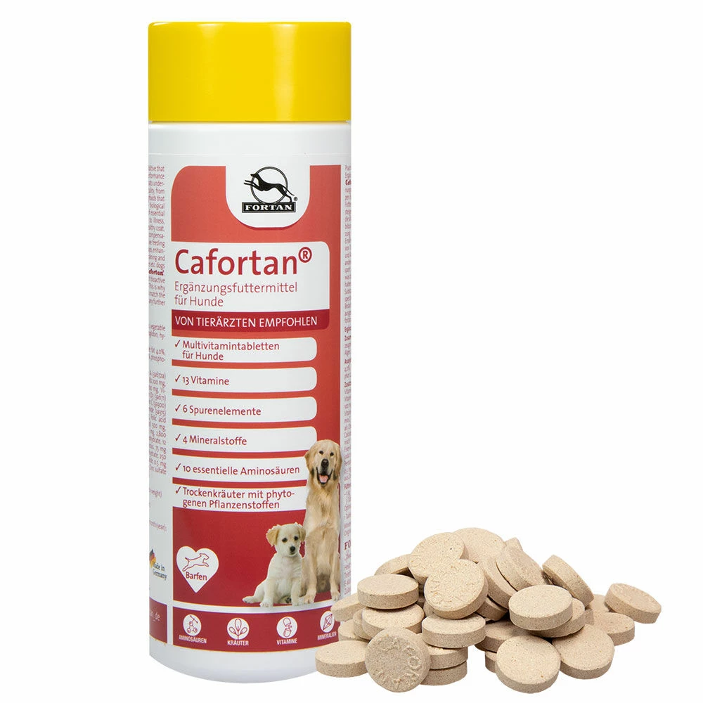 Cafortan -Tabletten 1 Cafortan -Tabletten