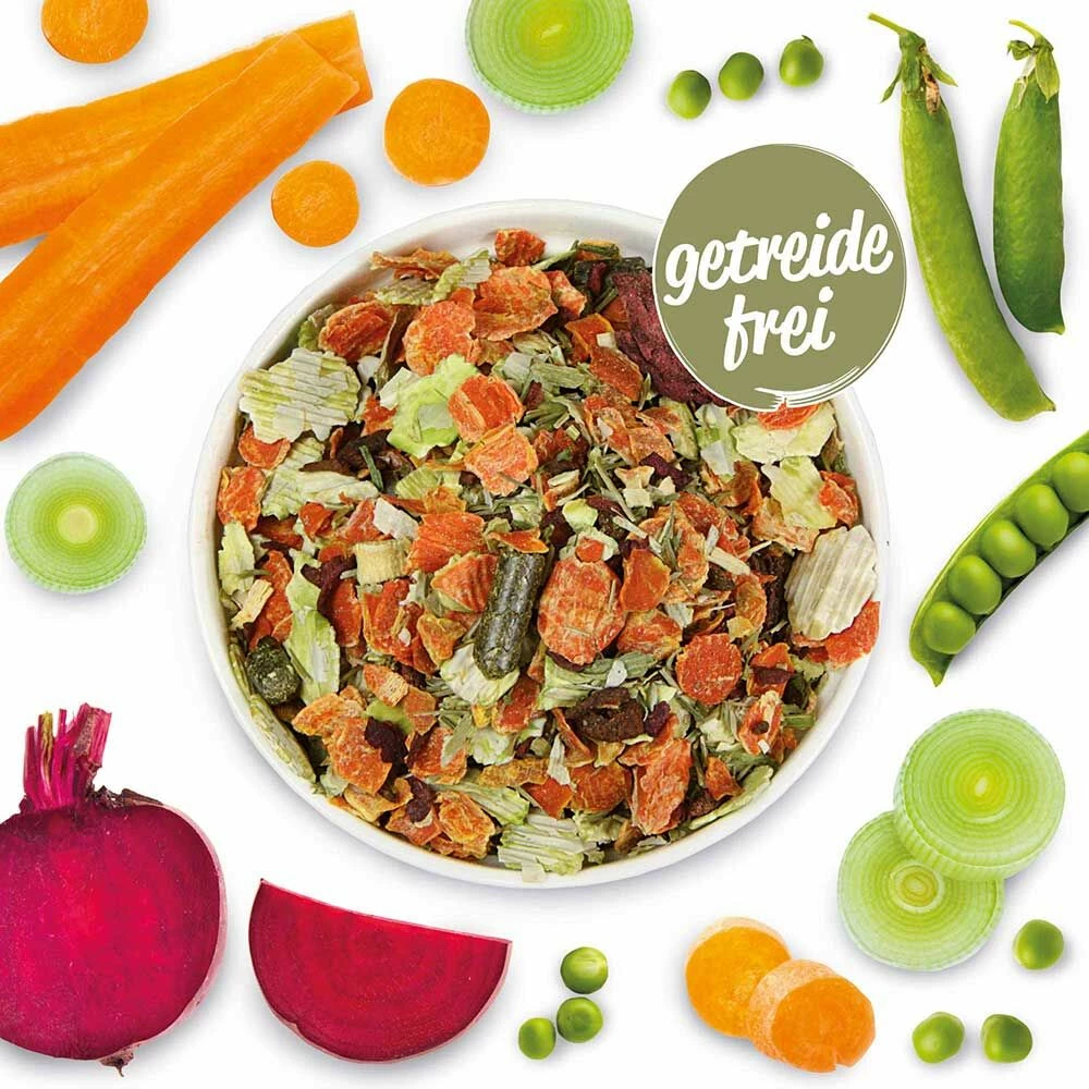 Gemüsegarten-Mix 1 Gemüsegarten-Mix