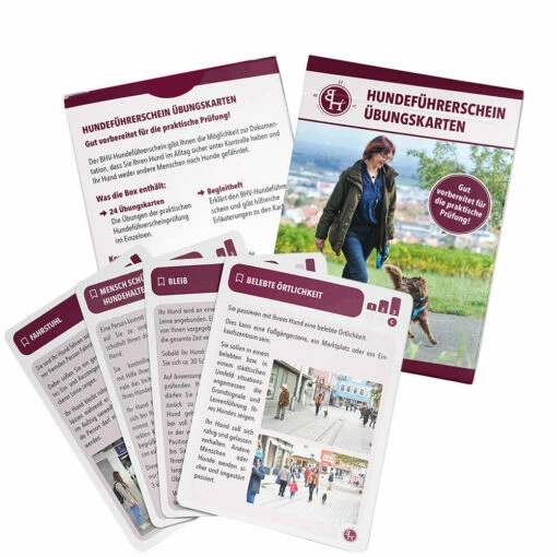 Hundeführerschein Übungskarten -Günstiges Schecker Geschäft HundefC3BChrerschein C39Cbungskarten 0760553