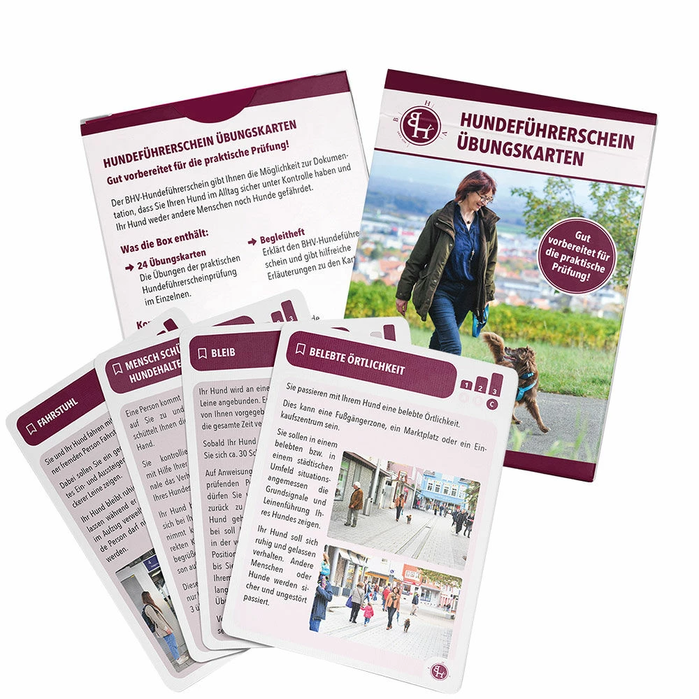 Hundeführerschein Übungskarten 1 Hundeführerschein Übungskarten