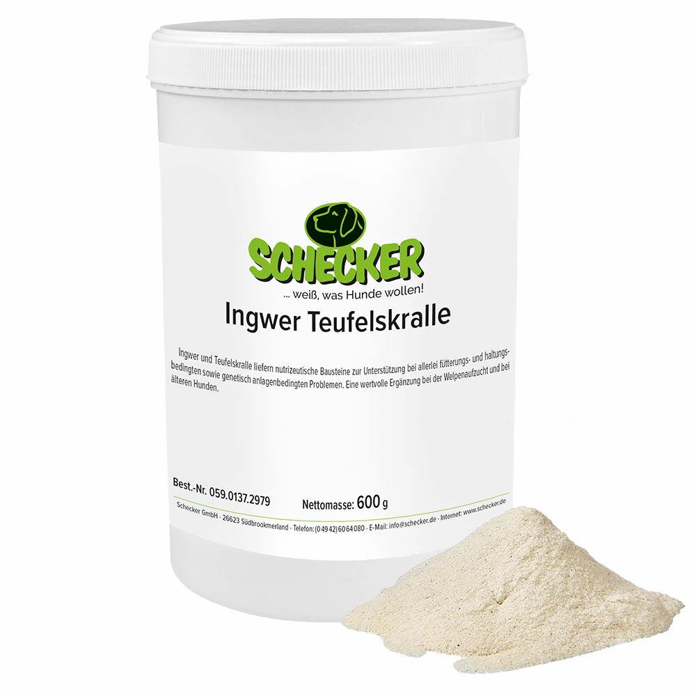 Ingwer Teufelskralle 1 Ingwer Teufelskralle