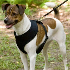 Mesh Original Leichtgeschirr, Farbe Schwarz