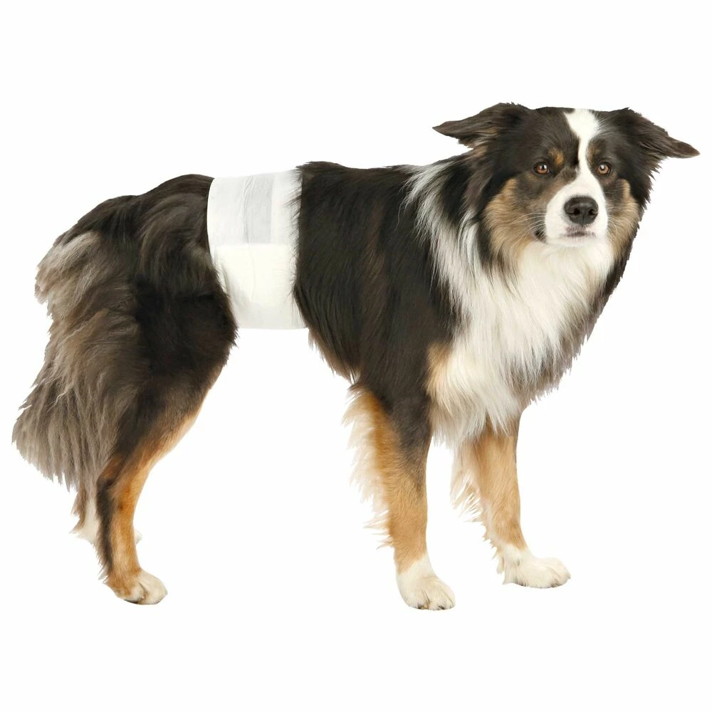 Trixie Rüdenwindeln 1 Trixie Rüdenwindeln