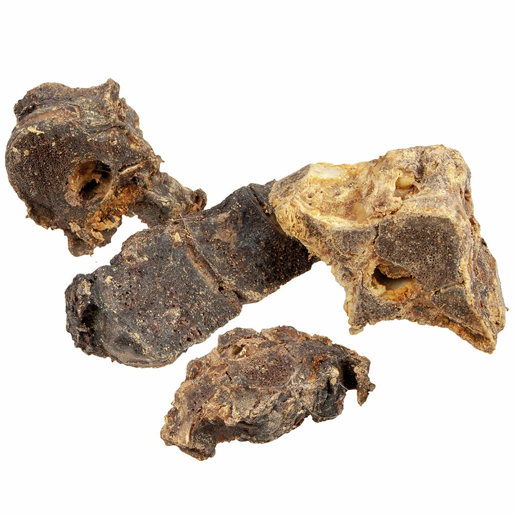 Reh-Rückenknochen 1 Reh-Rückenknochen