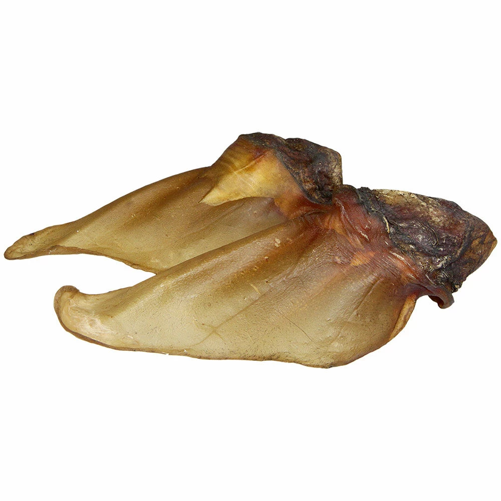 Rinderohren Mit Muschel 1 Rinderohren Mit Muschel