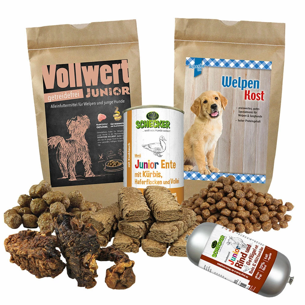 Schecker Kennenlern-Paket - Für Welpen 1 Schecker Kennenlern-Paket - Für Welpen