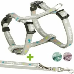 Welpengeschirr Mit Leine, Set