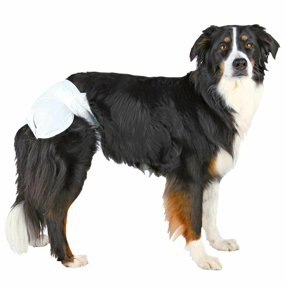 Trixie Windeln Für Hündinnen 1 Trixie Windeln Für Hündinnen