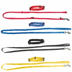 Züchterpaket, 4 Halsbänder & 4 Leinen