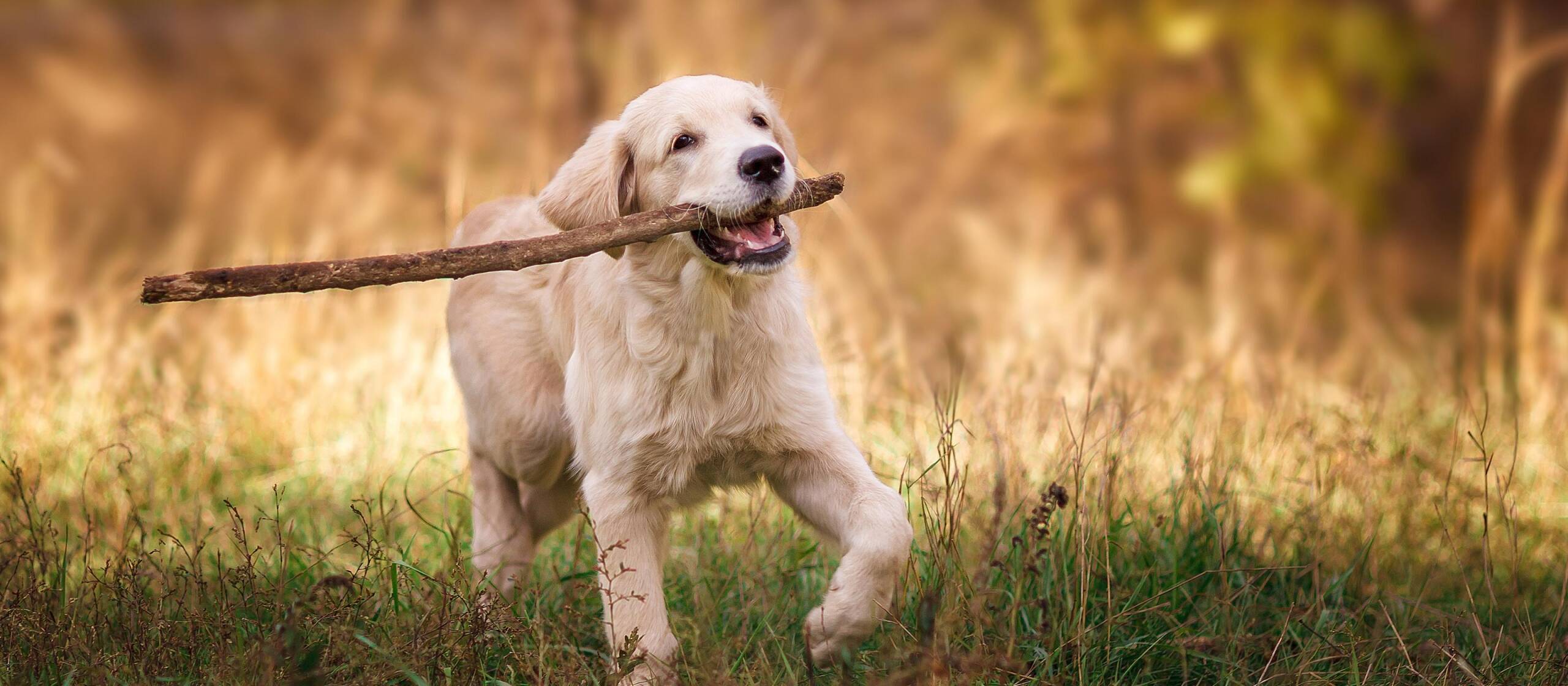 Günstiges Schecker Geschäft -Günstiges Schecker Geschäft ag3zq 2tbiy