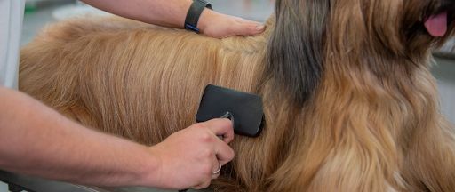 Günstiges Schecker Geschäft -Günstiges Schecker Geschäft unnamed 2